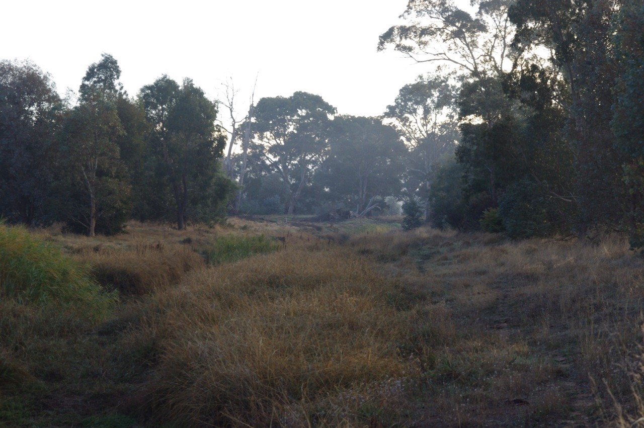 thumbnail_Creek April