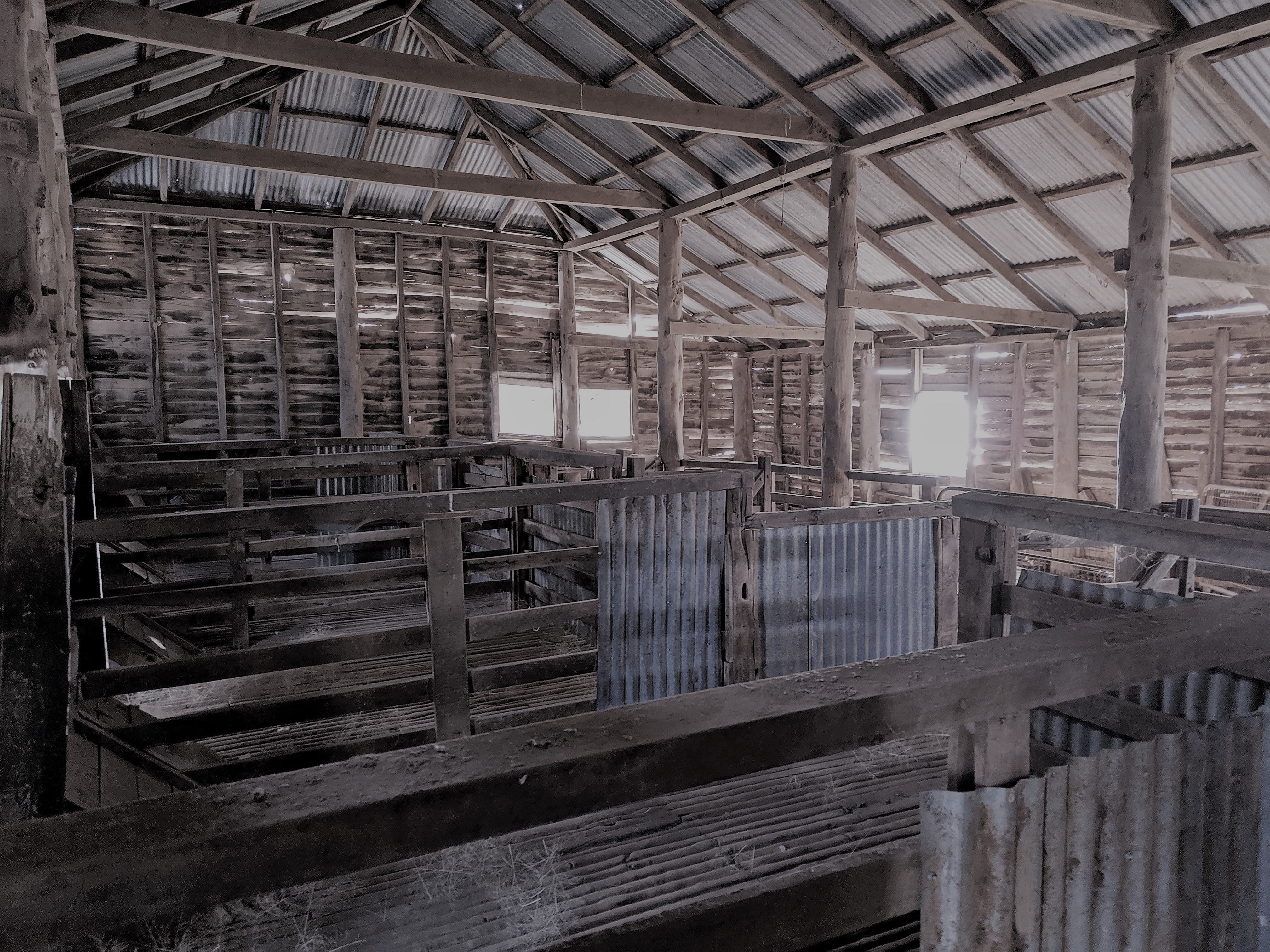 shearing shed .jpg